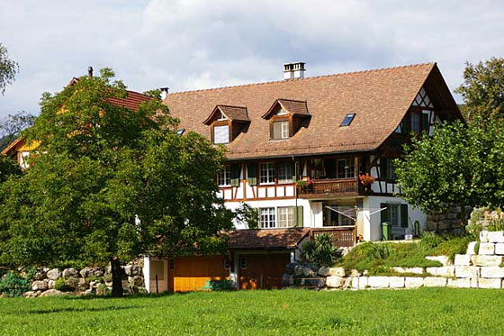 imoti