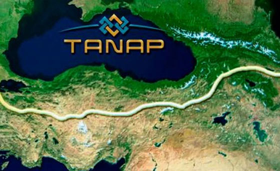 tanapo