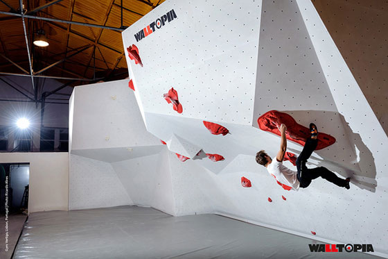 walltopia