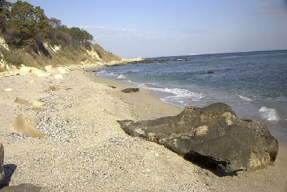 fichoza