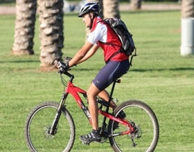 veloaleii