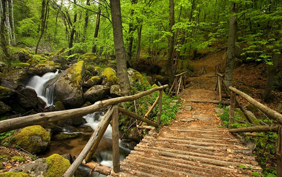 vitosha