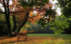 park