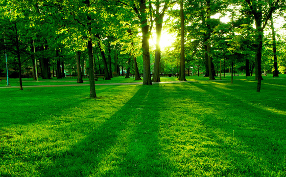 park