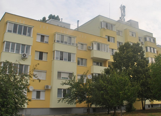 sanirane-ruse