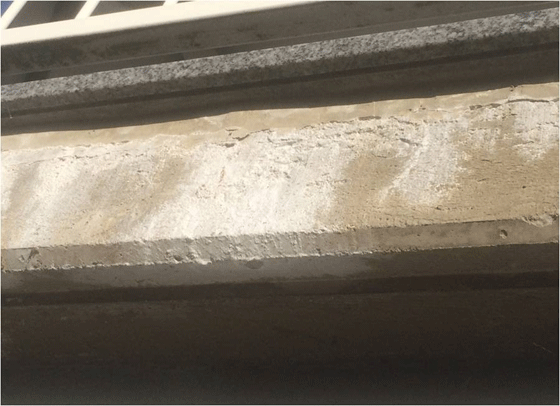 ardex