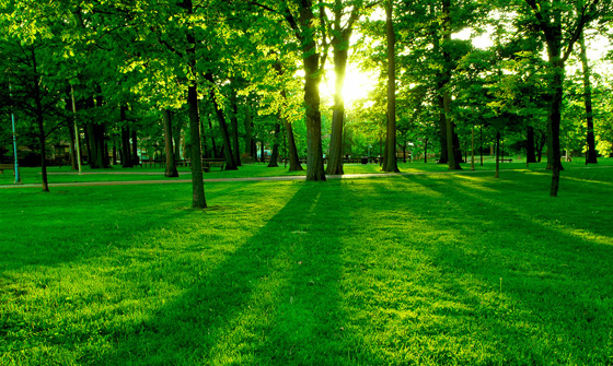 park
