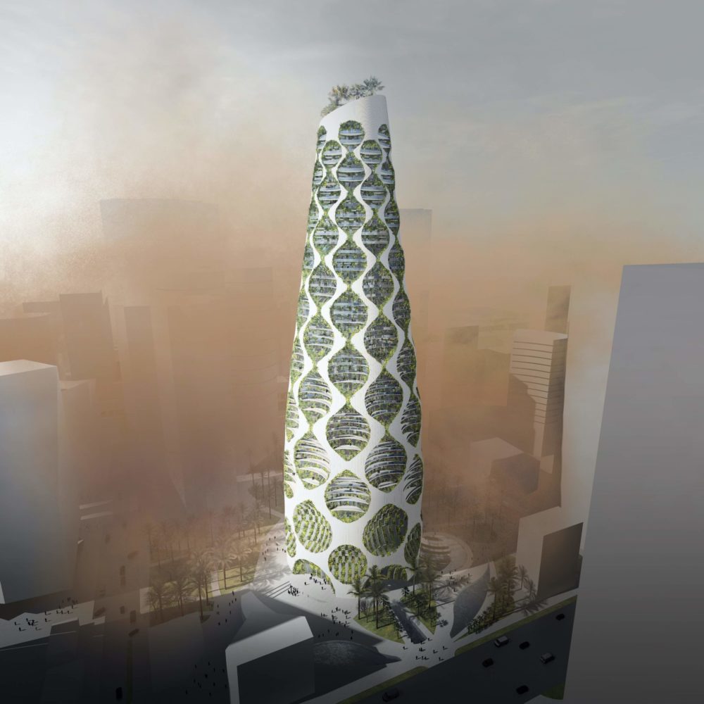 Oasis 2