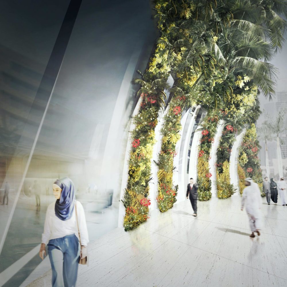 Oasis 5